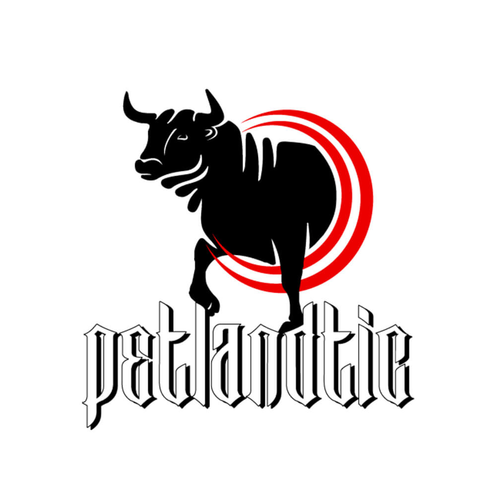 Petlandtic