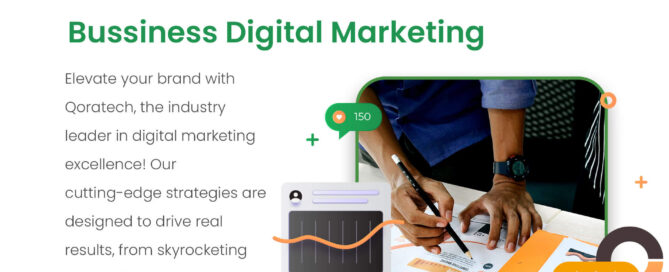 Website Development Packages